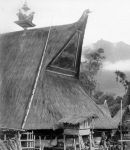 Kisah Terakhir Suku Guata